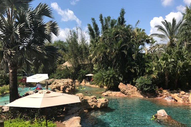 Joe Causi in Sunny Orlando, FL