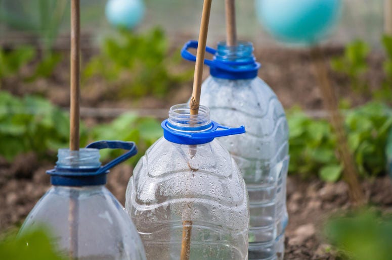 Recycled bottles in a garden