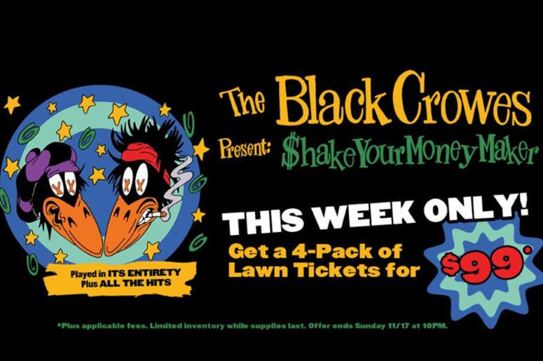 the black crowes