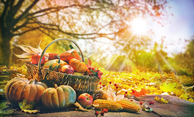 Autumn Harvest