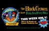 the black crowes