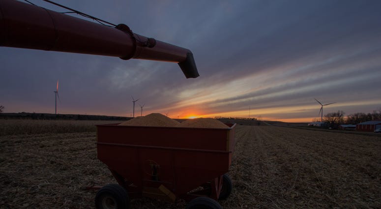 Minnesota Farm