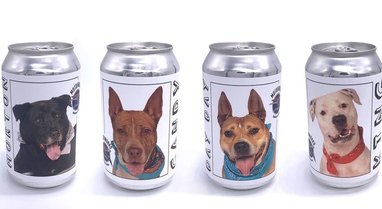 Missing Dog, Motorworks Brewing