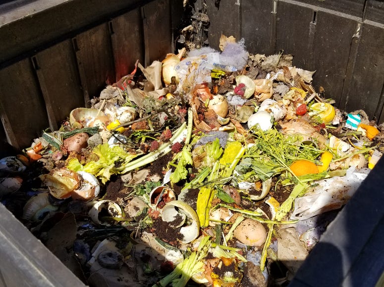 Compost Bin