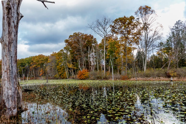 cleveland metroparks