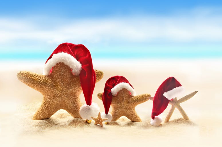 Starfish on summer beach and Santa hat Starfish on summer beach and Santa hat
