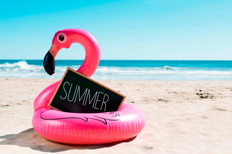 flamingo swim ring flamingo swim ring