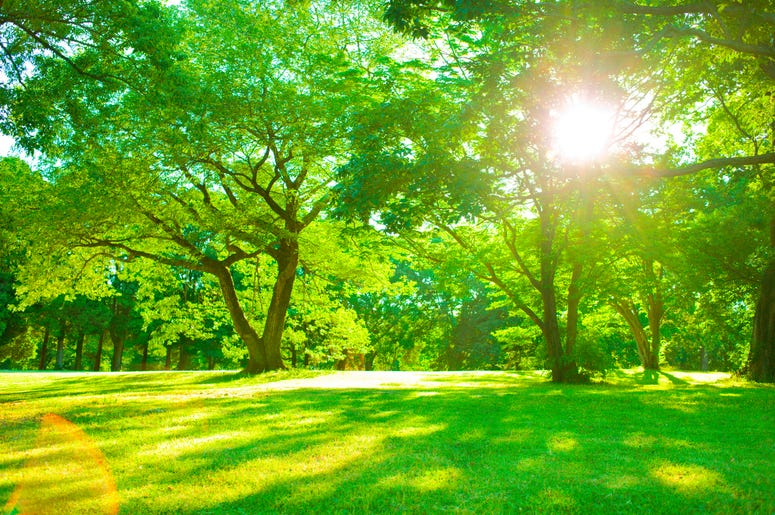 Sunny park Sunny park