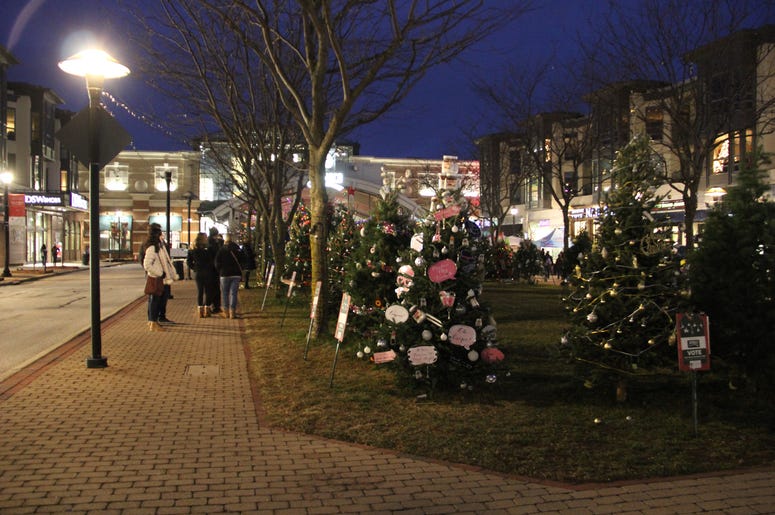 2019 Crocker Park tree lighting