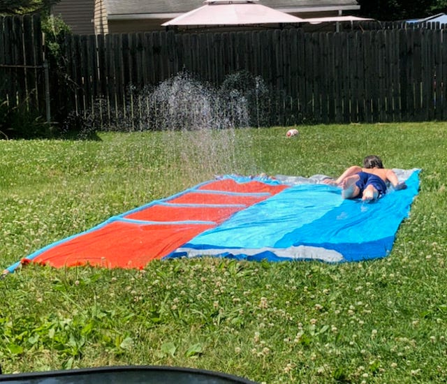 Liz Campbell Summer 2020