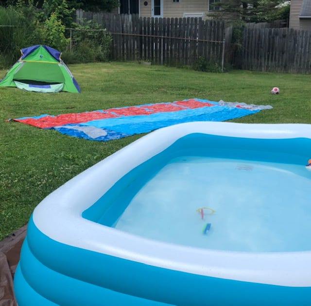 Liz Campbell Summer 2020