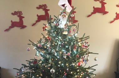 Liz Campbell"s Christmas Tree 2020