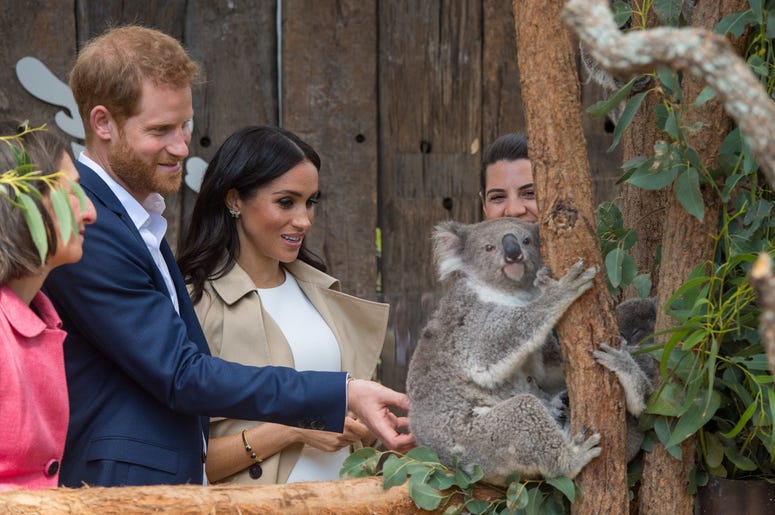 during a visit to Taronga Zoo in Sydney on the first day of the Royal couple's visit to Australia. during a visit to Taronga Zoo in Sydney on the first day of the Royal couple's visit to Australia.