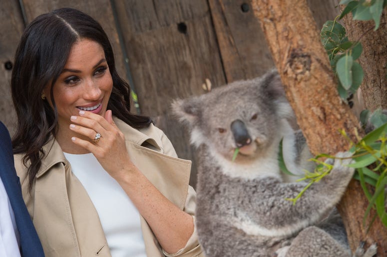 Meghan Markle during a visit to Taronga Zoo in Sydney on the first day of the Royal couple's visit to Australia. Meghan Markle during a visit to Taronga Zoo in Sydney on the first day of the Royal couple's visit to Australia.