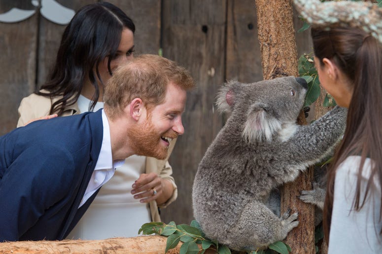 during a walkabout outside the Sydney Opera House, in Sydney on the first day of the Royal couple's visit to Australia. during a walkabout outside the Sydney Opera House, in Sydney on the first day of the Royal couple's visit to Australia.