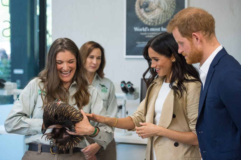 during a walkabout outside the Sydney Opera House, in Sydney on the first day of the Royal couple's visit to Australia. during a walkabout outside the Sydney Opera House, in Sydney on the first day of the Royal couple's visit to Australia.
