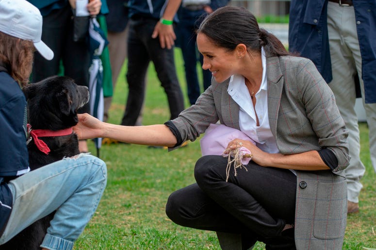 The Duchess of Sussex strokes a dog as she attends a community picnic in Victoria Park in Dubbo, New South Wales, on the second day of the royal couple's visit to Australia. The Duchess of Sussex strokes a dog as she attends a community picnic in Victoria Park in Dubbo, New South Wales, on the second day of the royal couple's visit to Australia.