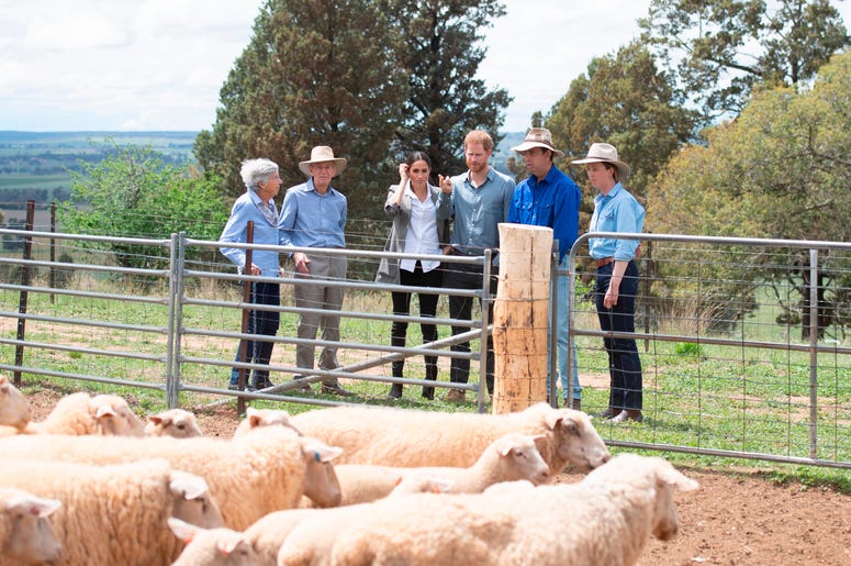 The Duke and Duchess of Sussex as they visit a local farming family, the Woodleys in Dubbo, on the second day of the Royal couple's visit to Australia. The Duke and Duchess of Sussex as they visit a local farming family, the Woodleys in Dubbo, on the second day of the Royal couple's visit to Australia.