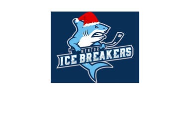 Mentor Icebreakers