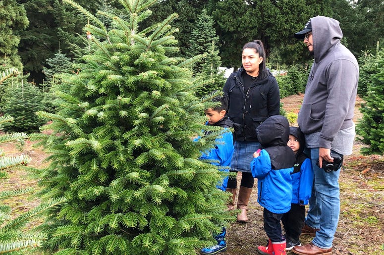 Christmas tree farmers are pushing back against the increasing popularity of artificial trees with a social media advertising campaign called "It's Christmas. Keep It Real!" DO NOT USE