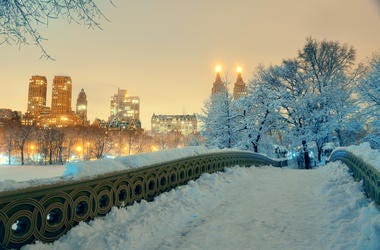 New York City Christmas