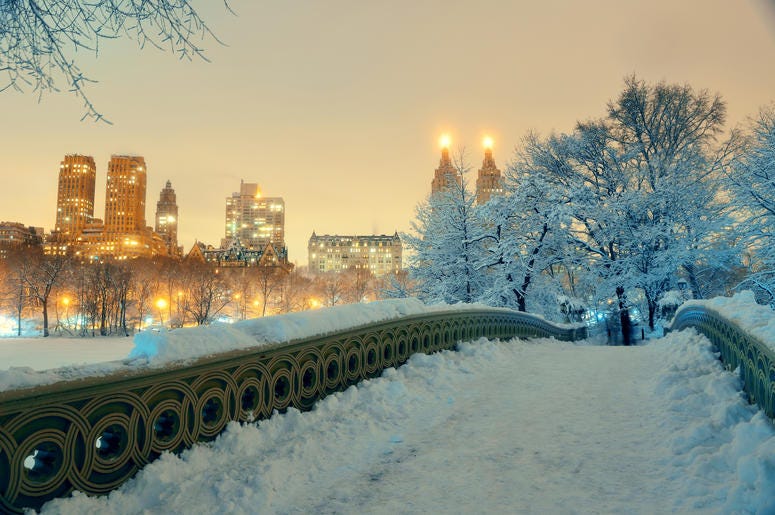 New York City Christmas