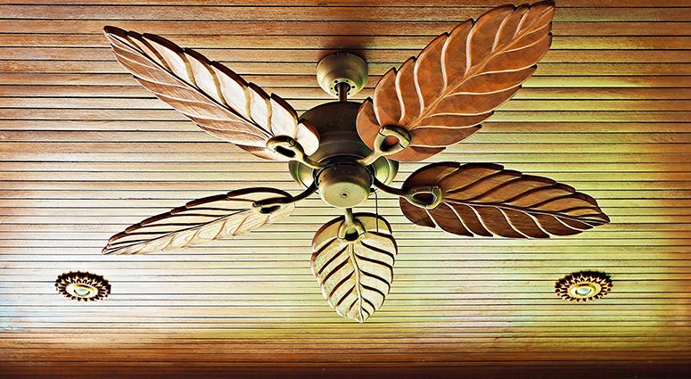 Ceiling Fan