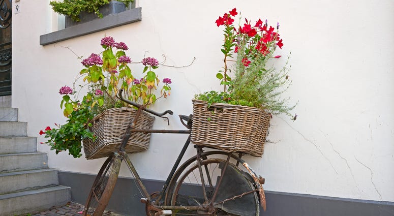 Recycled, reused bicycle as flower box