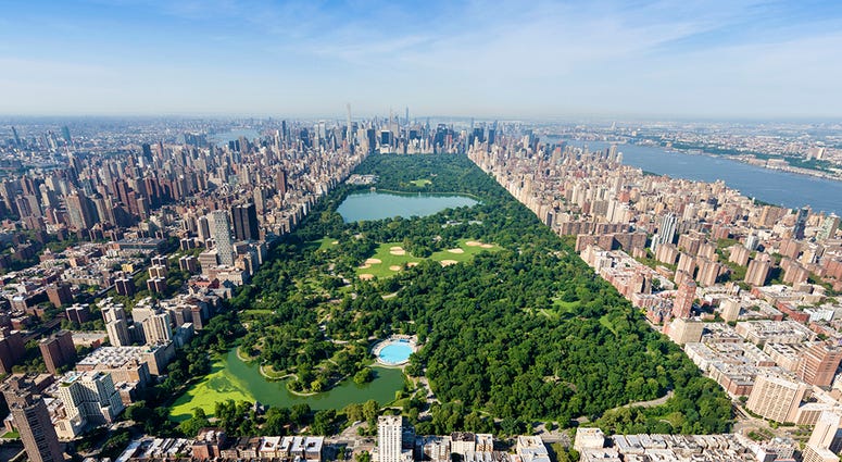 Central Park NYC