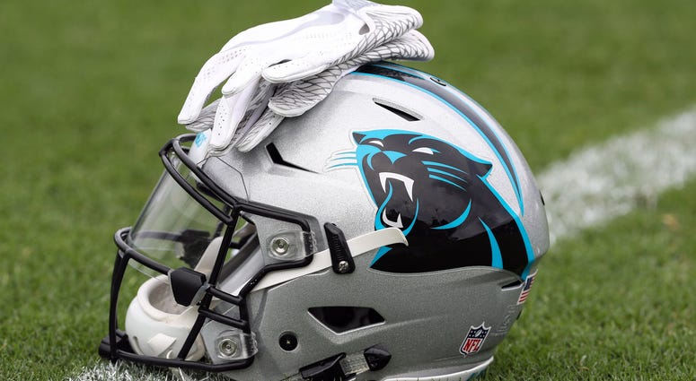 Panthers