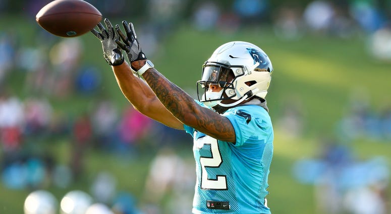 Panthers