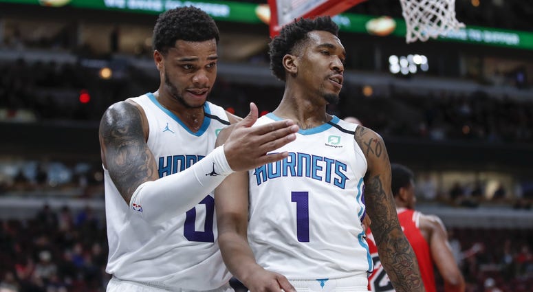 Hornets