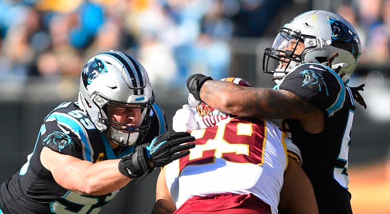 Panthers