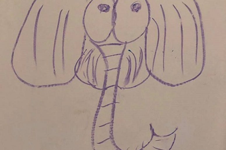 DOC SHOW AUDIO: It Really is an Elephant