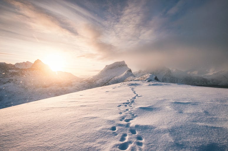 An Arctic refuge pop-up is headed to DC. An Arctic refuge pop-up is headed to DC.
