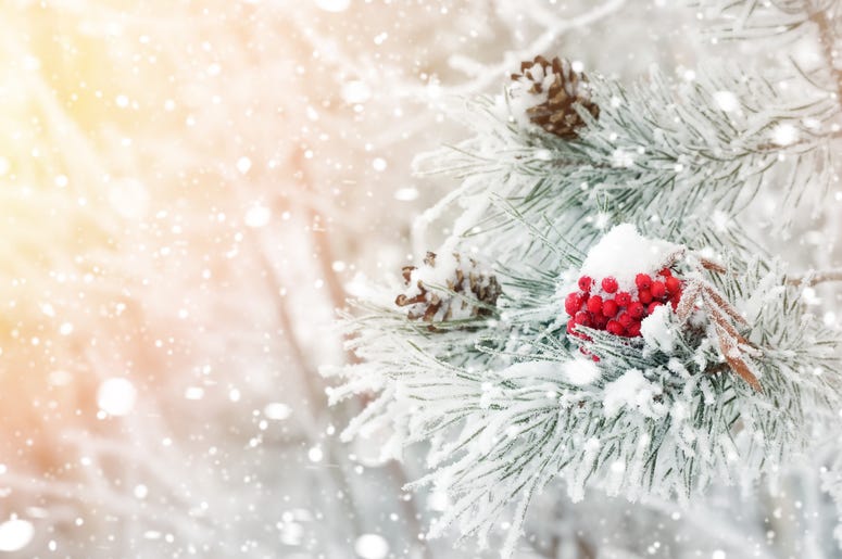 Alexandria is one of the most magical Christmas destinations. Alexandria is one of the most magical Christmas destinations.