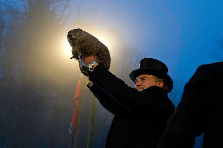A tradition of Punxsutawney Phil predicting the end of winter could come to an end. A tradition of Punxsutawney Phil predicting the end of winter could come to an end.