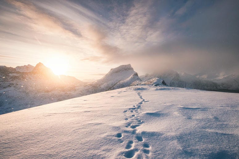 An Arctic refuge pop-up is headed to DC. An Arctic refuge pop-up is headed to DC.