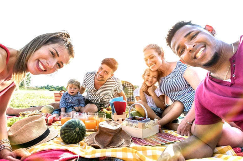 Family Having A Picnic