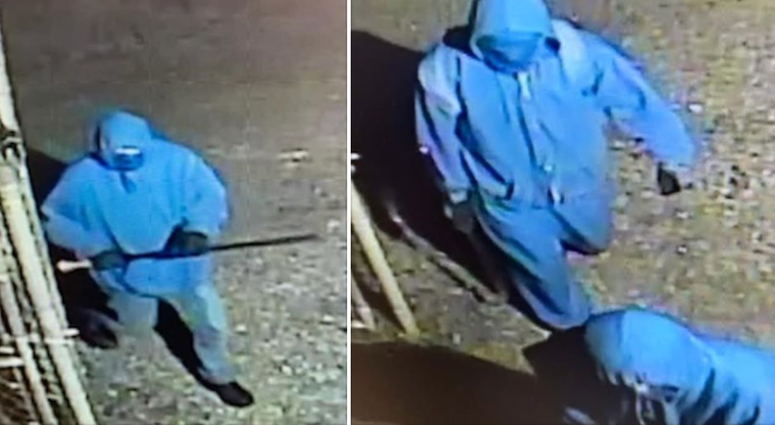 PSP searching for. burglary suspects