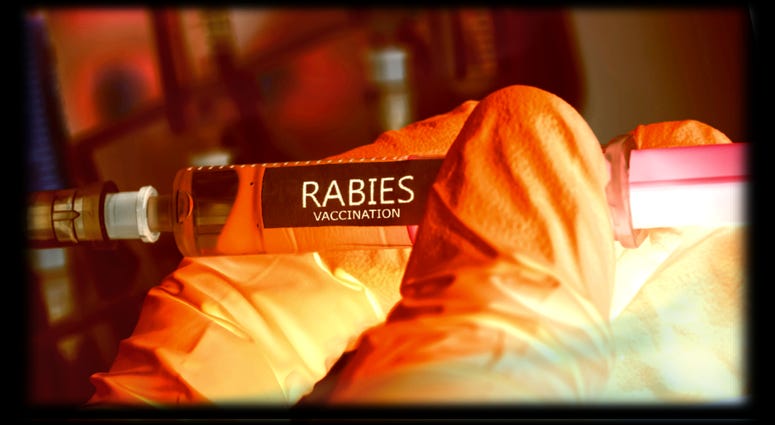 Rabies