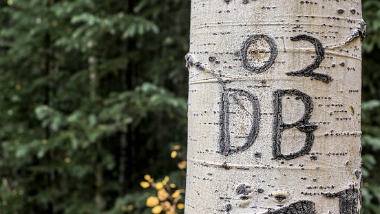 DB