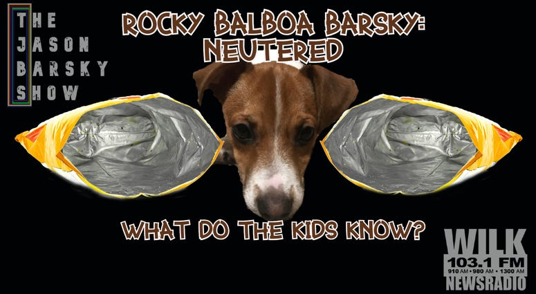 Rocky Balboa Barsky Got Fixed
