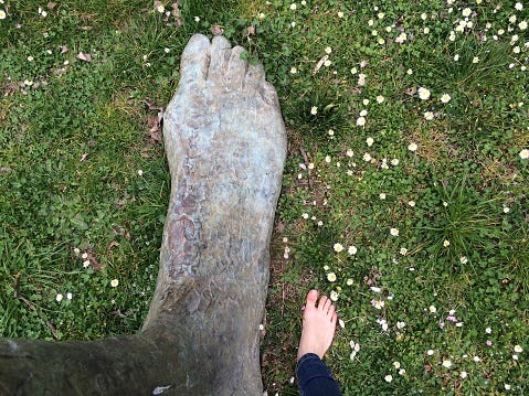 big foot little foot