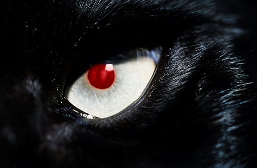 cat eye
