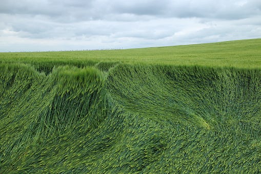crop circle