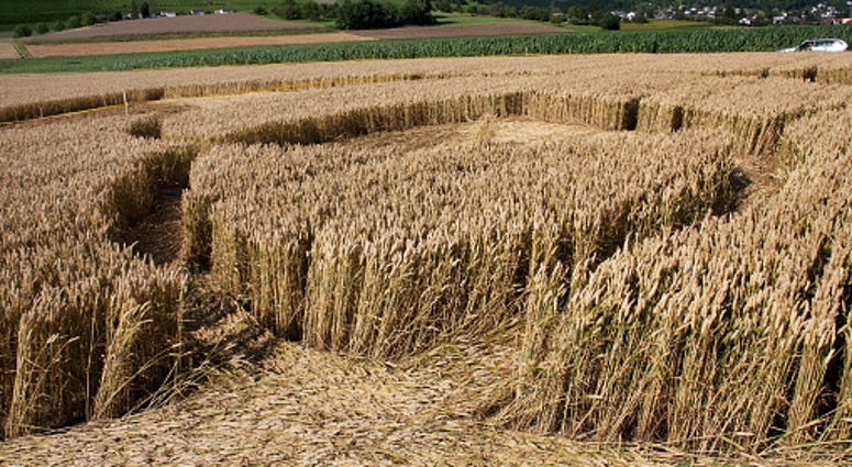 crop circle