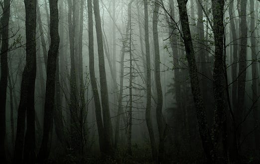 forest