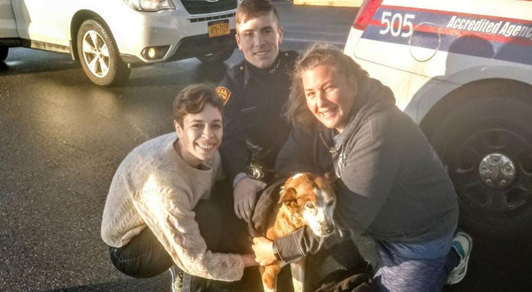 Wilbur the dog with his rescuers. Dog rescue Suffolk County