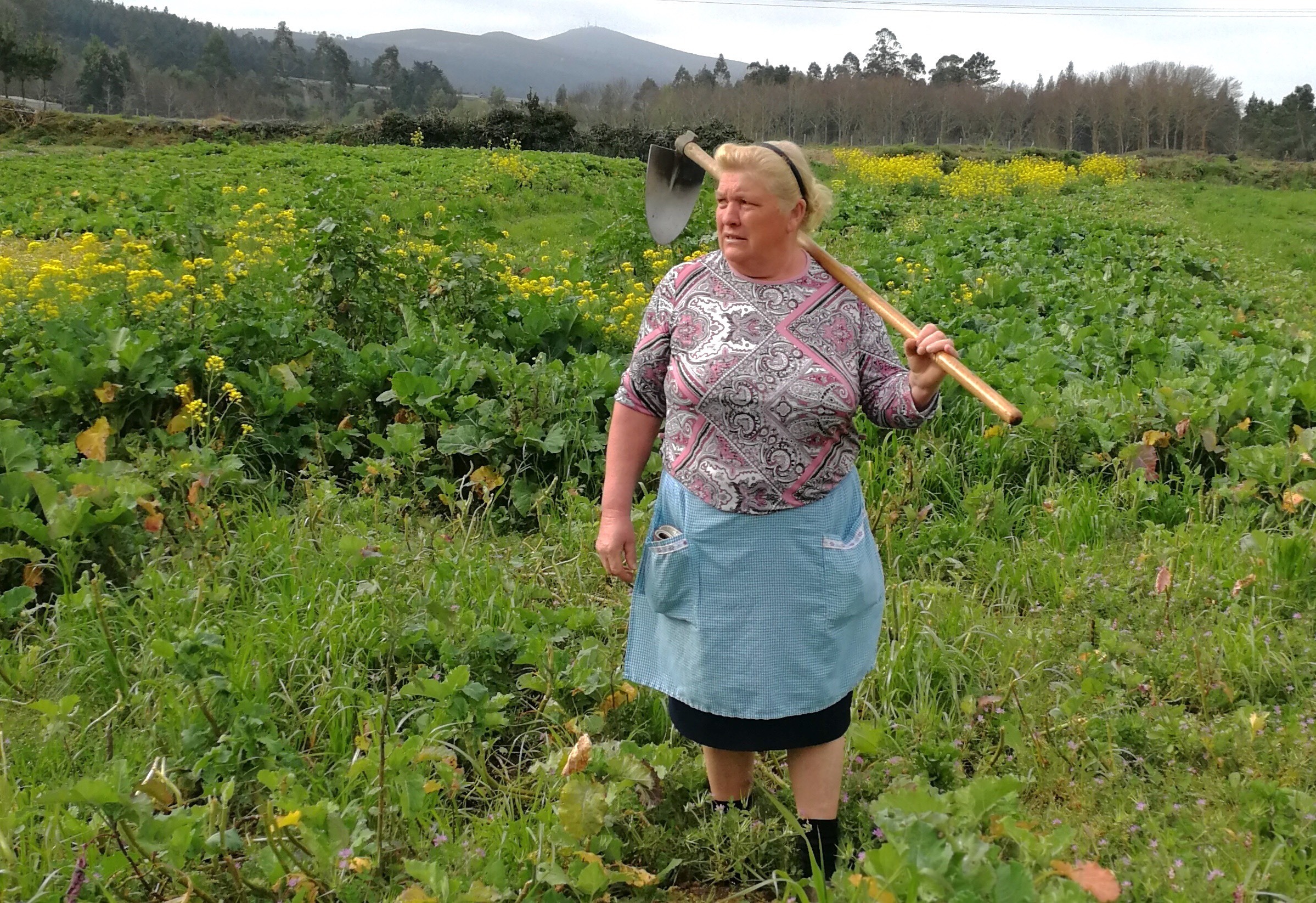 Spanish Trump Lookalike
